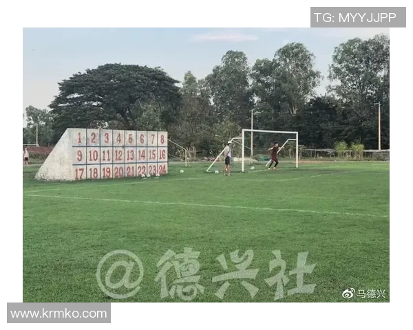 足球墙的高度标准及其对训练和比赛的影响分析