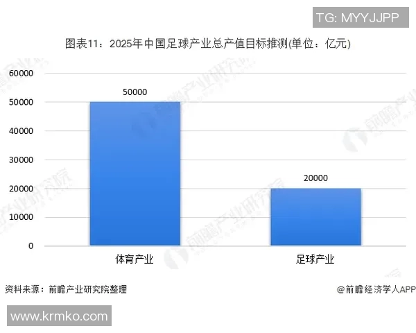 足球职业联盟发展动态与未来展望分析报告 足球职业联盟发展动态与未来展望分析报告