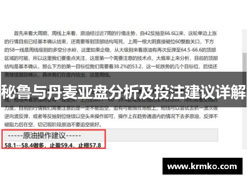 秘鲁与丹麦亚盘分析及投注建议详解